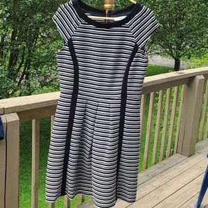 Dress Barn Striped 12